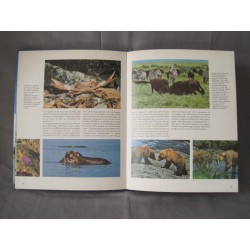 Les animaux en société Hachette 1979
