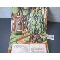 Mon livre pop-up - le petit chaperon rouge : Collectif - 2384530321 - Livres  pour enfants dès 3 ans