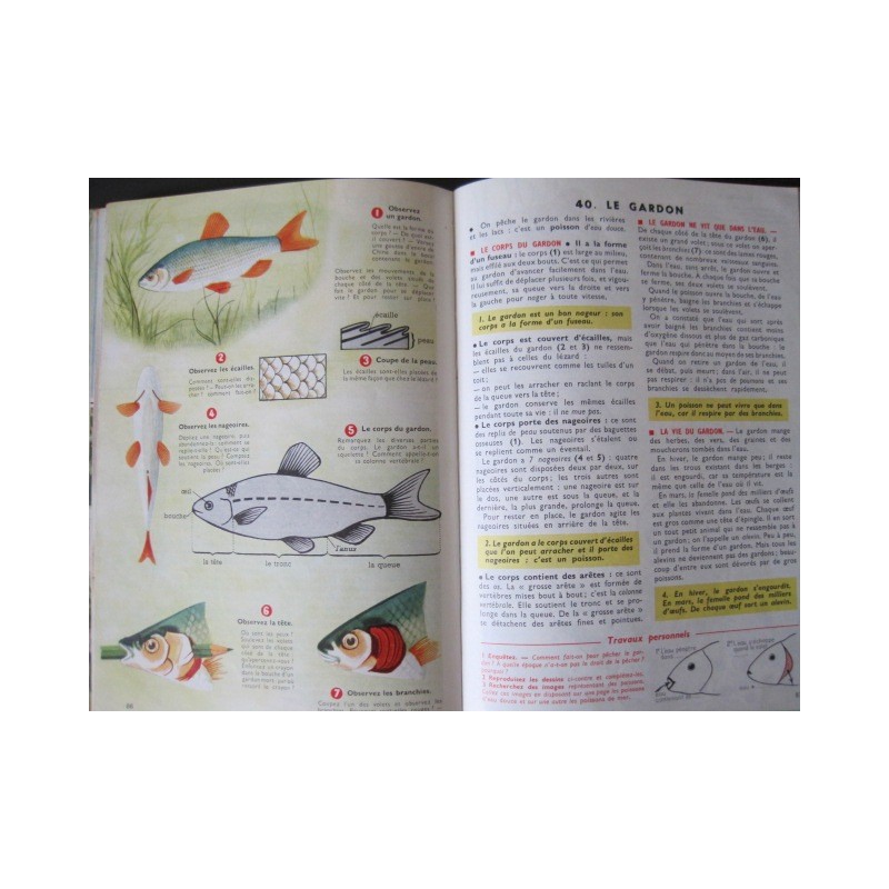 Ancien manuel scolaire – Leçons de choses – Cours élémentaire – Hachette - Livres