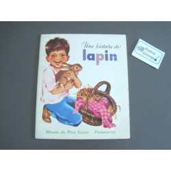 Une histoire de lapin