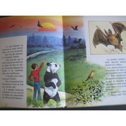 Frédéric et le panda